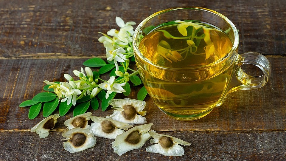 முருங்கையின் பலன்கள்