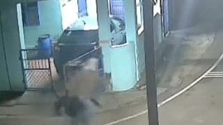 திருடனை விரட்டும் மூதாட்டி