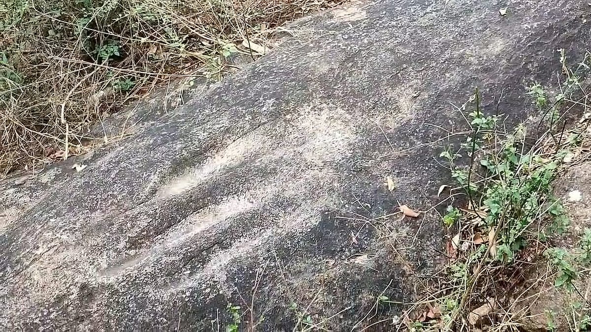 கருவி தேய்ப்புப் பள்ளங்கள் 