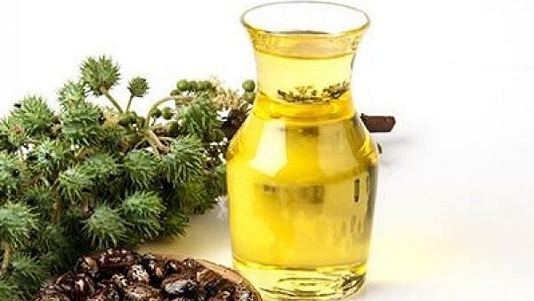 விளக்கெண்ணெய்