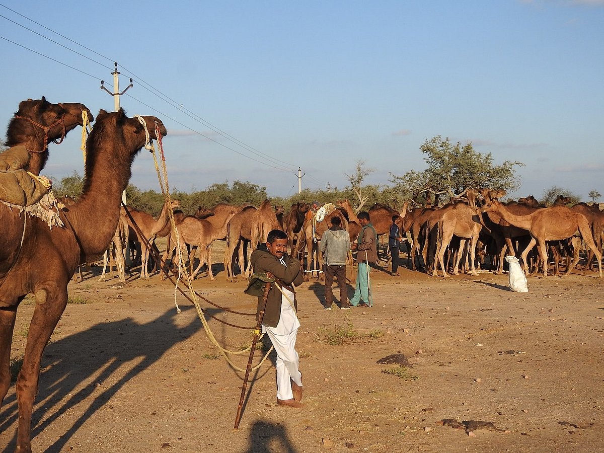 ராஜஸ்தான்