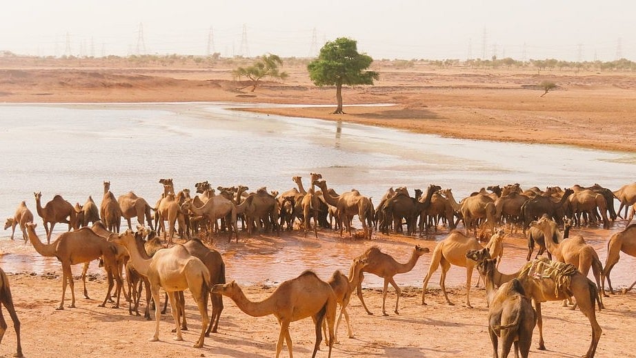 ராஜஸ்தான்