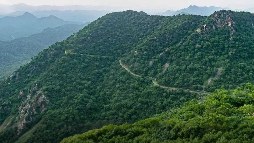 ஆரவல்லி மலை