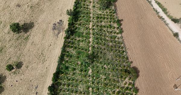 விவசாயம்