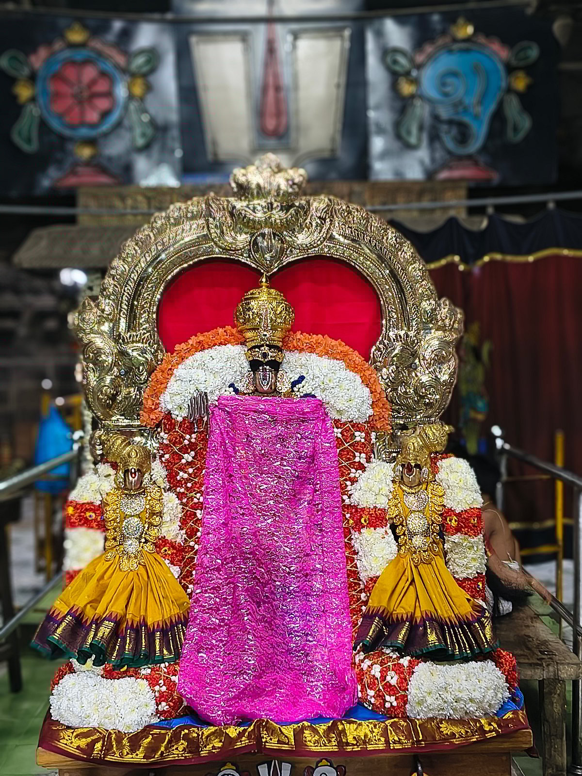 திருநெல்வேலி: பெருமாள் திருக்கோயில்களில் நடைபெற்ற ஸ்ரீ வைகுண்ட ஏகாதசி பெருமாள் அலங்கார காட்சிகள்.!