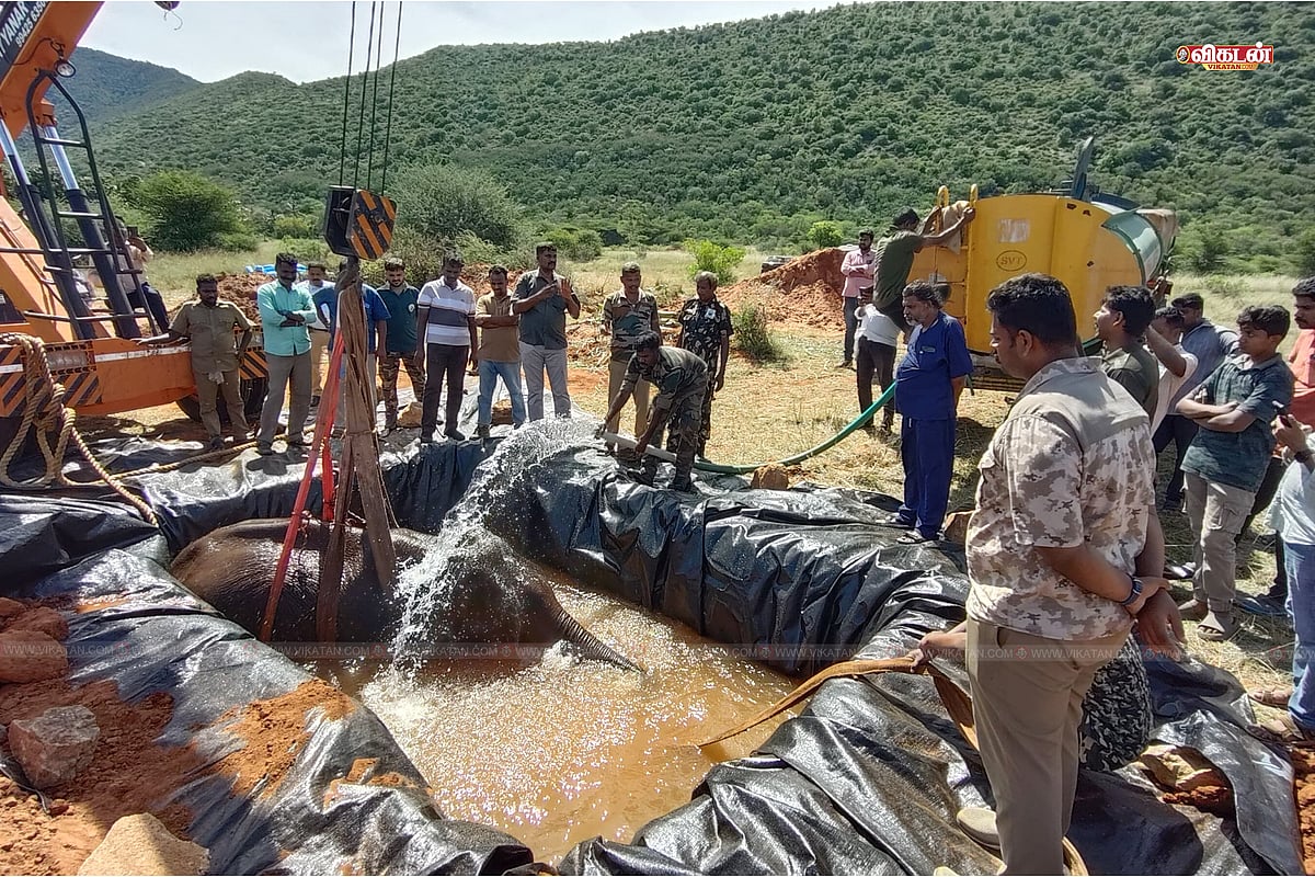 மே 2025 - மருதமலை அருகே நோய்வாய்ப்பட்டு யானைக்கு தண்ணீரில் சிகிச்சை 