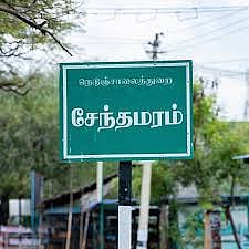 சேந்தமரம்