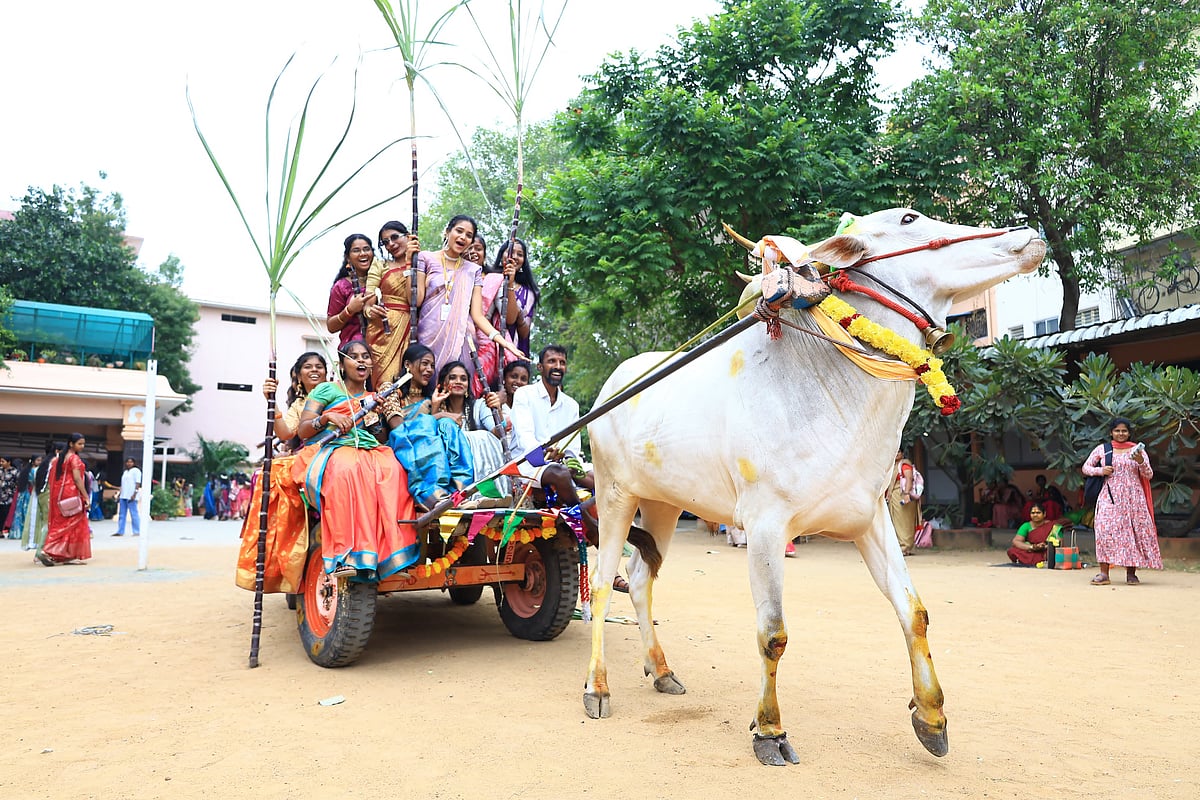 ஸ்ரீ கன்யகா பரமேஸ்வரி கல்லூரியில் பொங்கல் விழா; கொண்டாடி மகிழ்ந்த மாணவிகள்! | Photo Album