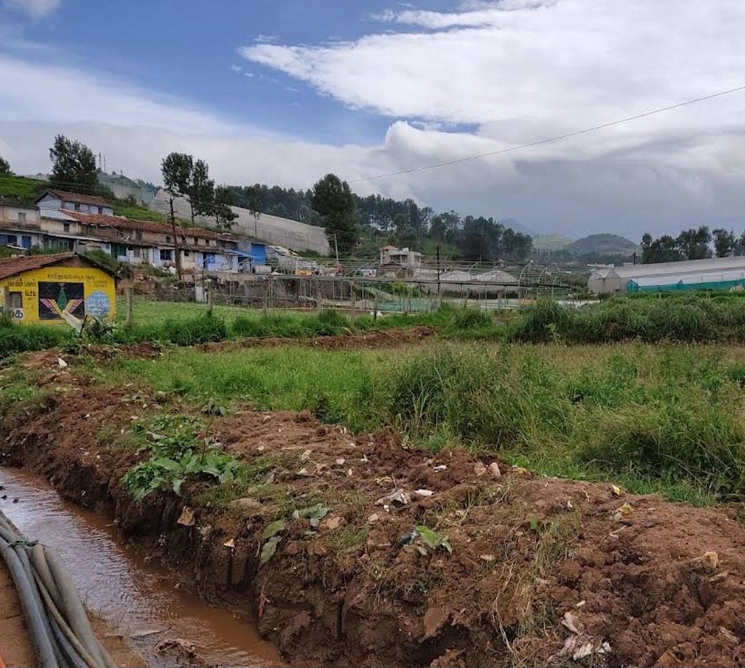 கொதுமுடி