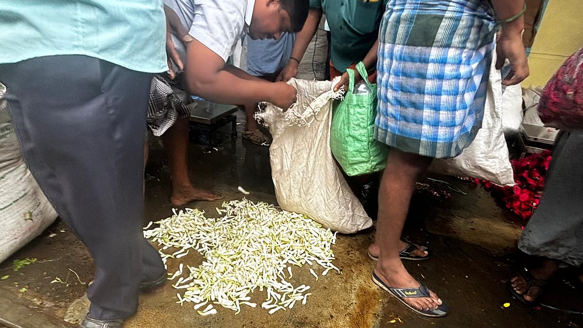 நிலக்கோட்டை:-பூ-மார்க்கெட்டில்-கிலோ-ரூ.10,000;-வரலாறு-காணாத-விலையில்-மல்லிகைப்-பூ-|-Photo-Album