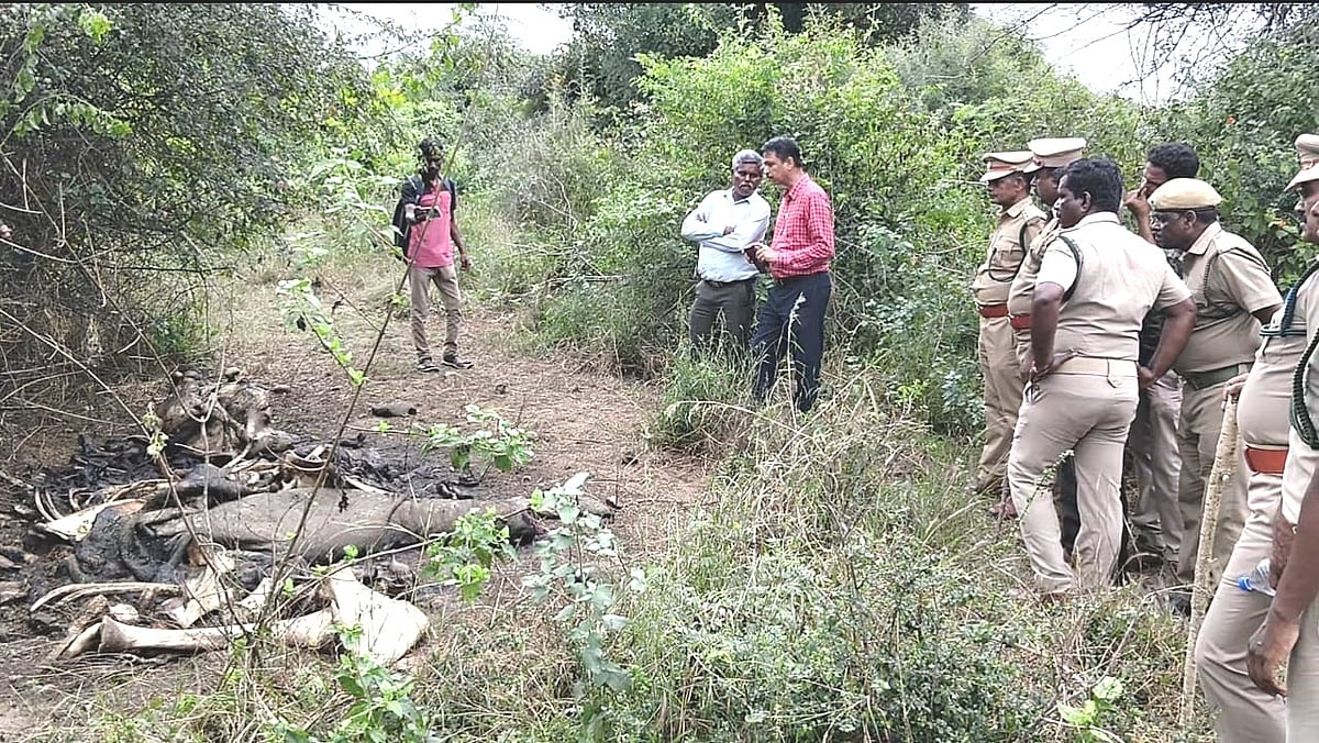 வேலூர்: யானை தந்தங்களுடன் சிக்கிய 3 இளைஞர்கள் - கிணறு வெட்ட பூதம் கிளம்பியதுபோல நீடிக்கும் குழப்பம்