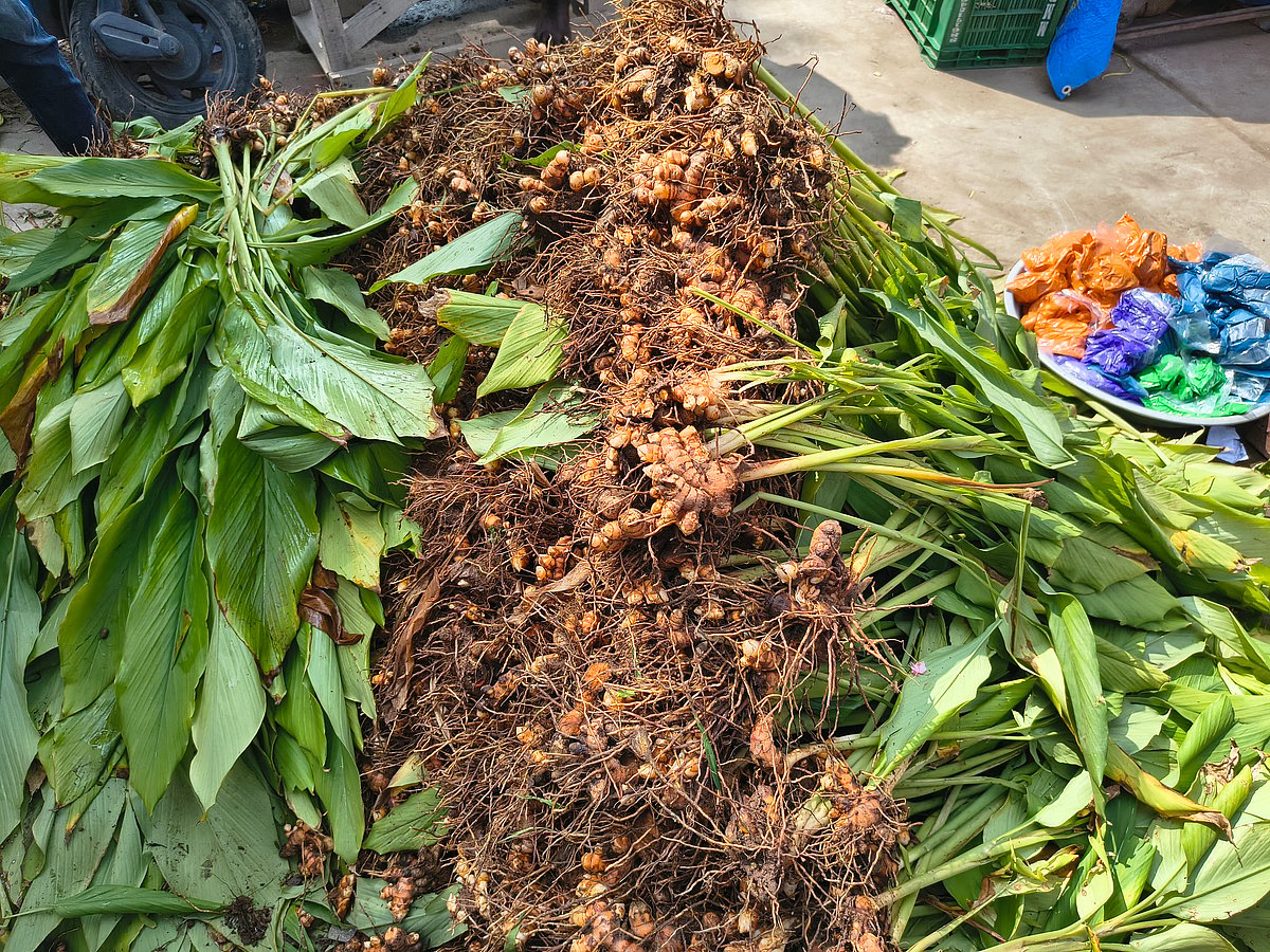 திருநெல்வேலி: மஞ்சள் குலை, பனங்கிழங்கு, கரும்பு கட்டுகள் - பாளை சந்தையில் களைகட்டிய பொங்கல் விற்பனை!