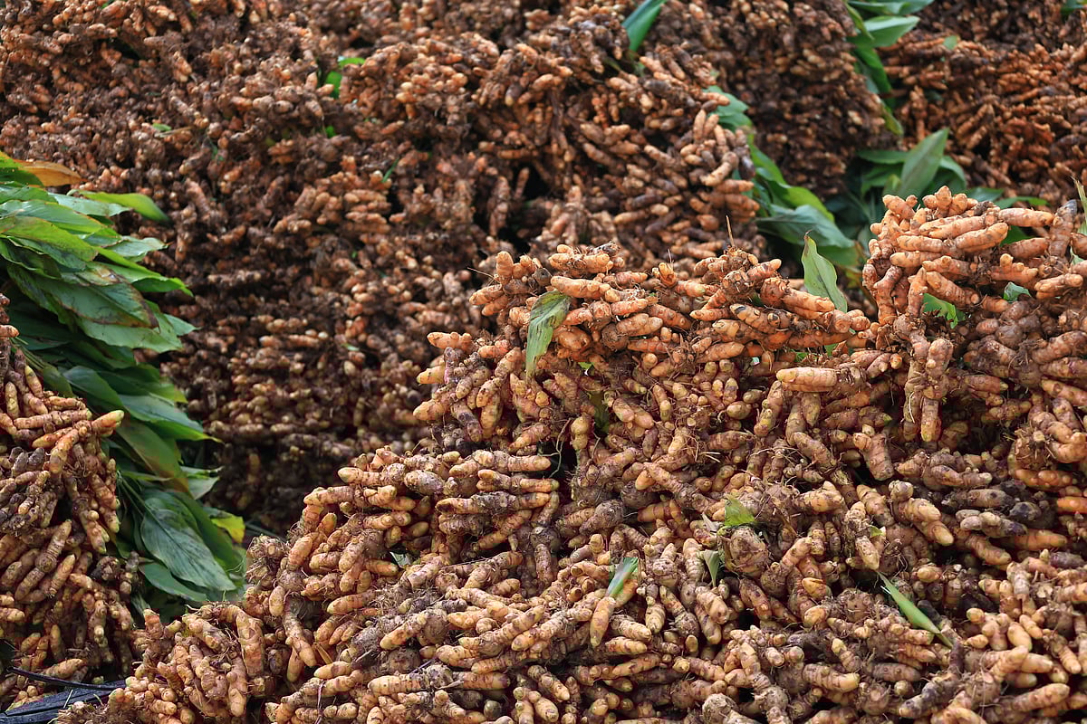 கோயம்பேடு-சந்தையில்-குவிந்த-கரும்பு,-மஞ்சள்---உற்சாகமாக-வாங்கிச்-செல்லும்-மக்கள்!