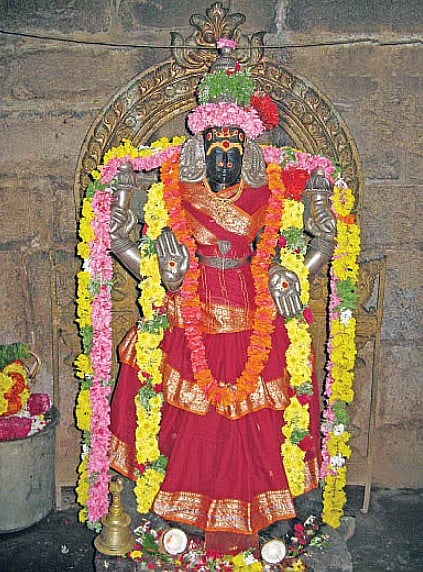 பனையபுரம் ஸ்ரீபுறவார் பனங்காட்டீசன் கோயில் மெய்யாம்பிகை
