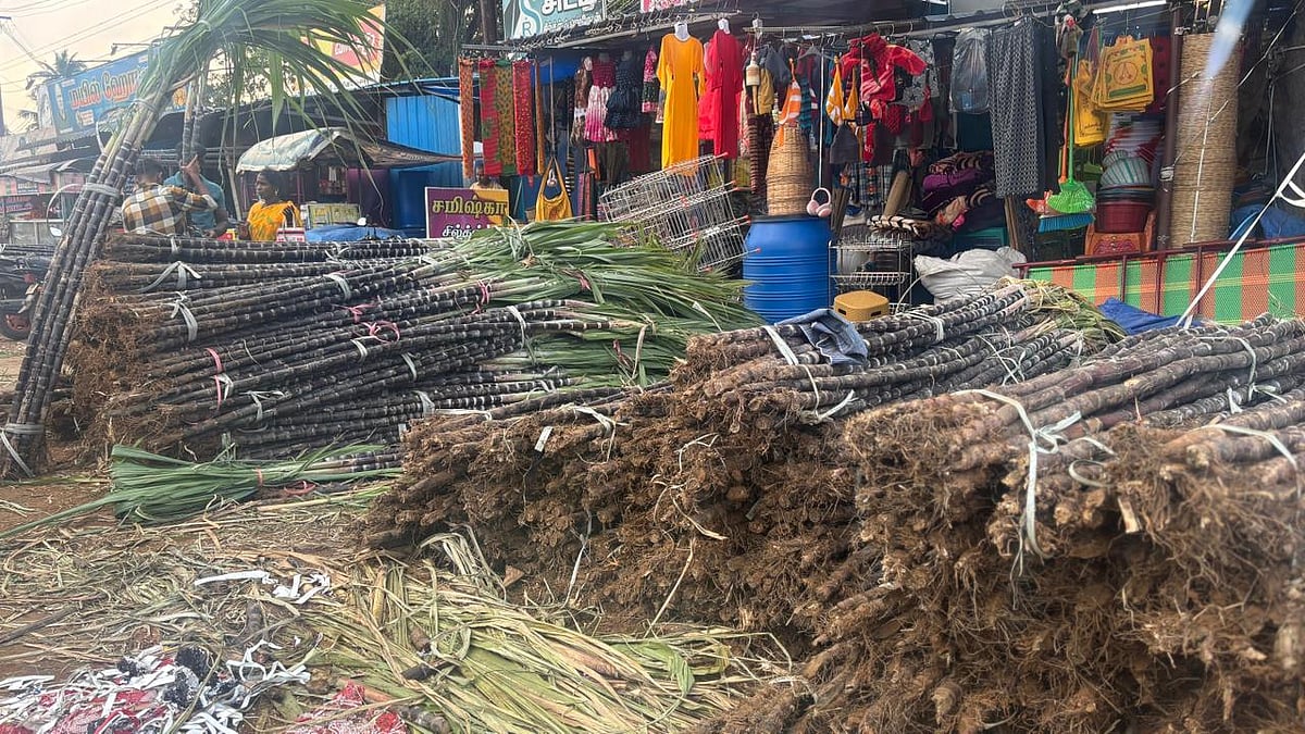 பொங்கல் பண்டிகை உற்சாகம்: நிலக்கோட்டை சந்தையில் கரும்பு முதல் பூக்கள் வரை அமோக விற்பனை