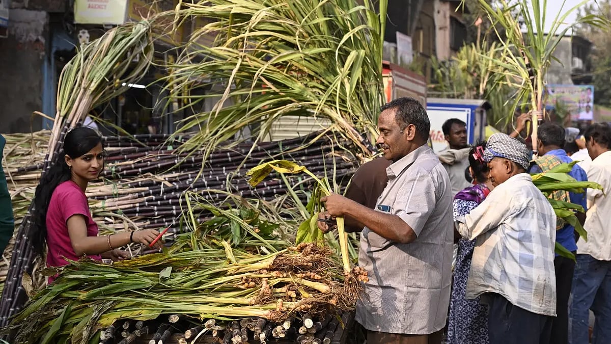 பொங்கல் தினத்தில் மாநகராட்சி தேர்தல்: மும்பை தாராவியில் பொங்கல் விழாவை ரத்து செய்த தமிழ் அமைப்புகள்!