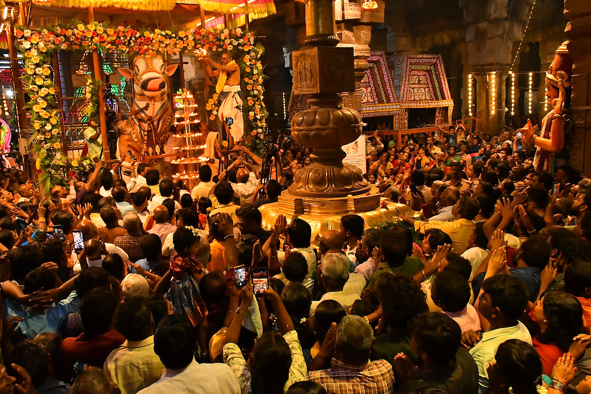 திருநெல்வேலி: நெல்லையப்பர் - காந்திமதி அம்பாள் திருக்கோயில் இலட்சத்தீபத் திருவிழா.!
