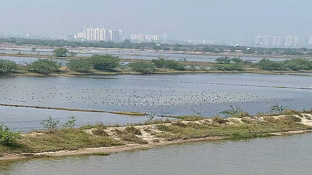 நெம்மேலி ஏரி