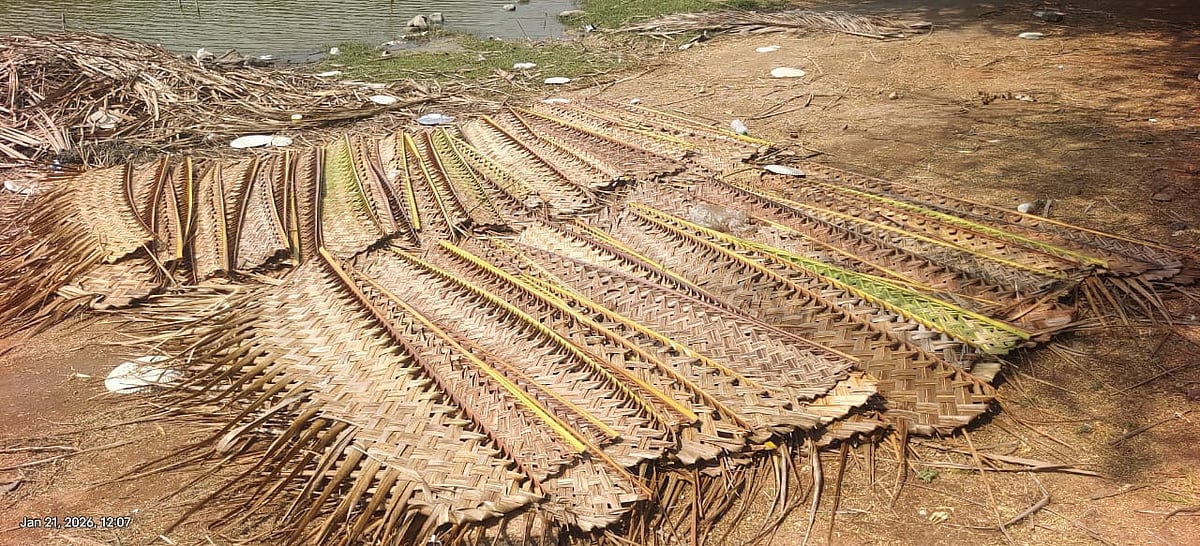 அதிகரித்து-வரும்-சாமியானா-பந்தல்;-நலிந்து-வரும்-தென்னந்தட்டி-தொழில்---தொழிலாளர்களின்-கோரிக்கை-என்ன?