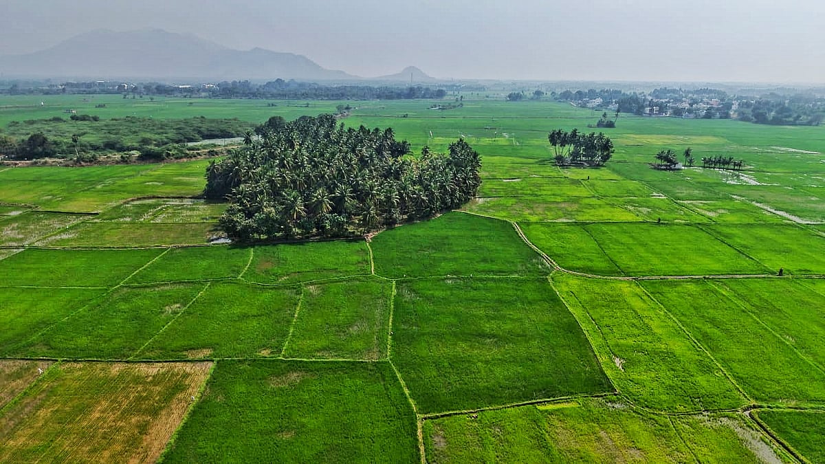 ஆறு,-குளங்களுடன்-உயிர்ப்பெற்ற-மதுரை-வாடிப்பட்டி---கழுகு-பார்வையில்-பசுமை-பேரழகு!