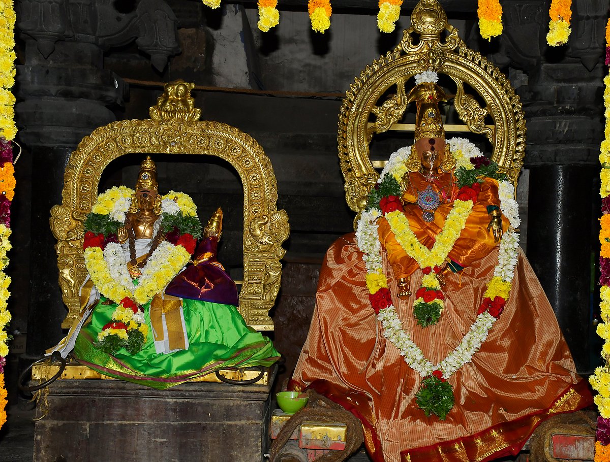 திருநெல்வேலி: நெல்லையப்பர் திருக்கோயில் நெல்லுக்கு வேலியிட்ட திருவிளையாடல் காட்சி திருவிழா!