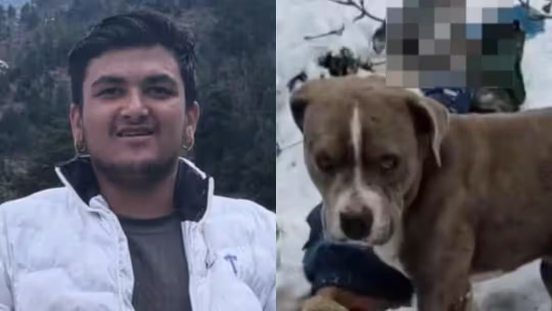 பனிப்பொழிவில்-சிக்கி-இறந்த-எஜமானர்;-4-நாள்களாக-உடலைப்-பாதுகாத்த-வளர்ப்பு-நாய்;-இமாச்சலில்-நெகிழ்ச்சி