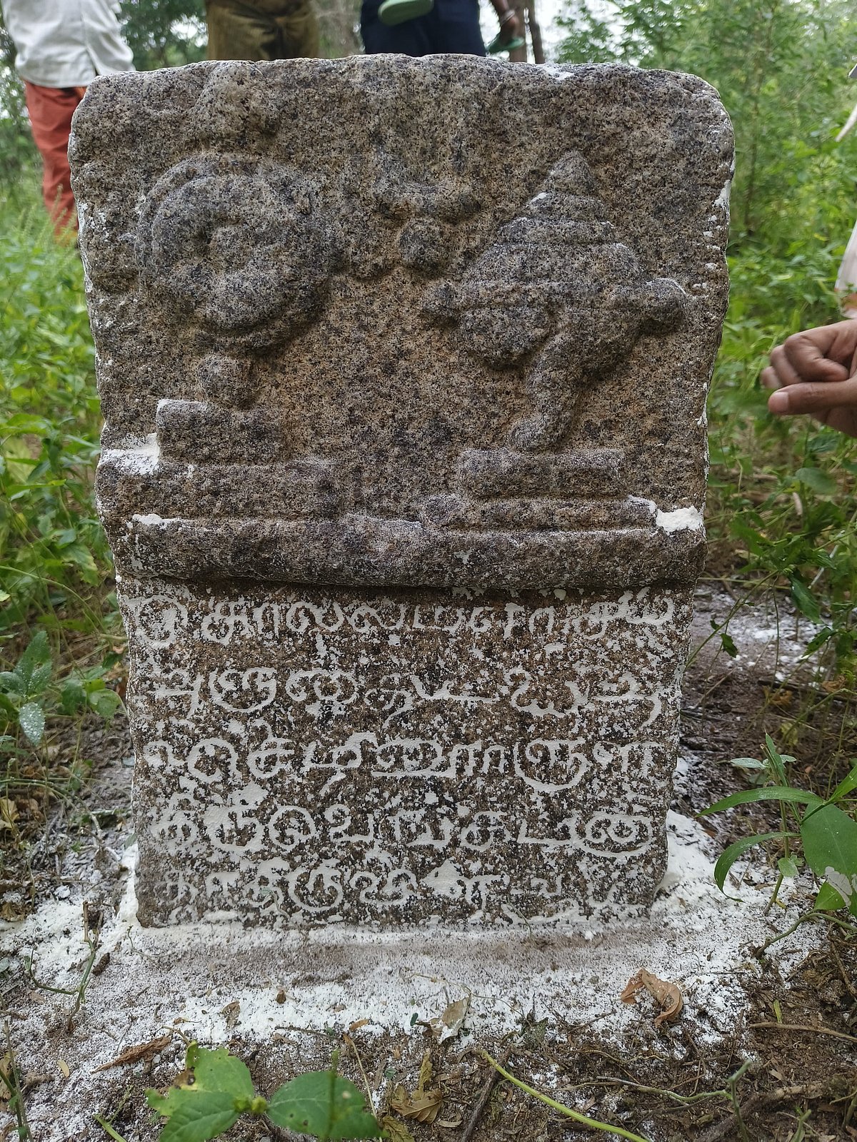 திருநெல்வேலி:-கல்லூரி-மாணவரால்-கண்டெடுக்கப்பட்ட-பழைமைவாய்ந்த-புதைப்பொருள்கள்!