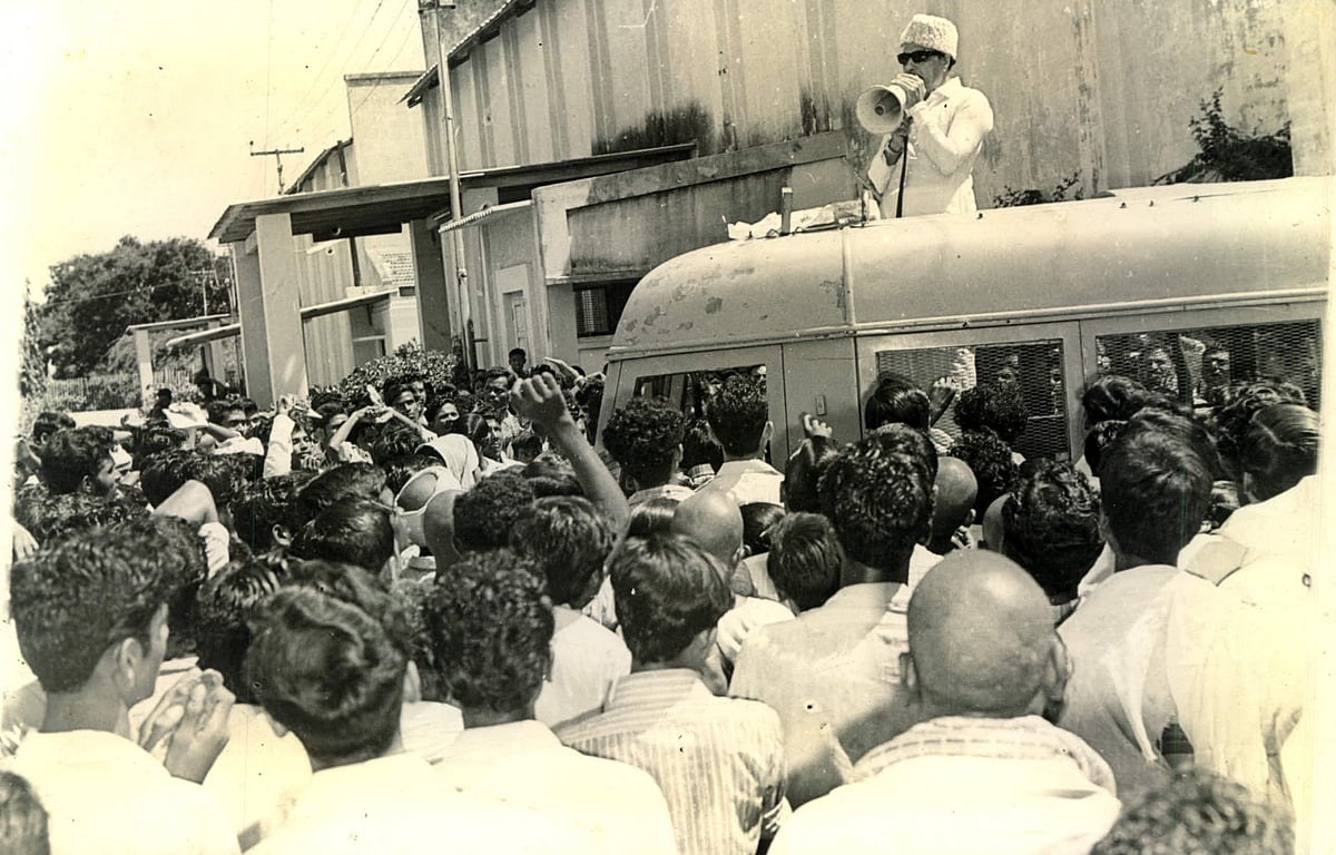 எம்.ஜி.ஆர்