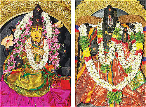 கொடுவாய் ஸ்ரீவிண்ணளந்த பெருமாள்