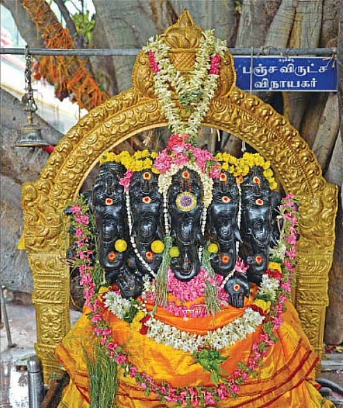 மருதமலை மருதாசலமூர்த்தி திருக்கோயில் பஞ்சவிருட்ச விநாயகர் 