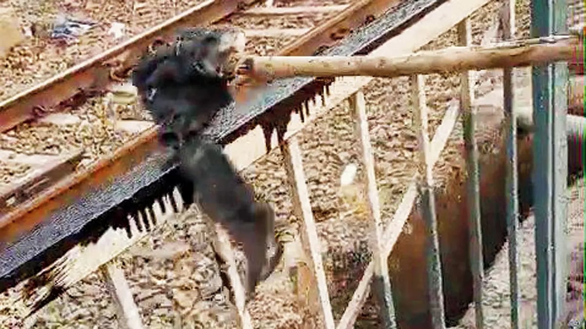 இரும்பு தடுப்பு