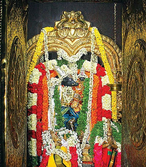திருவள்ளூர் மாவட்டம், மேல்பொதட்டூர் தரணி வராகப்பெருமான் திருக்கோயில்: நிலப்பிரச்னை நிச்சயம் தீரும்!