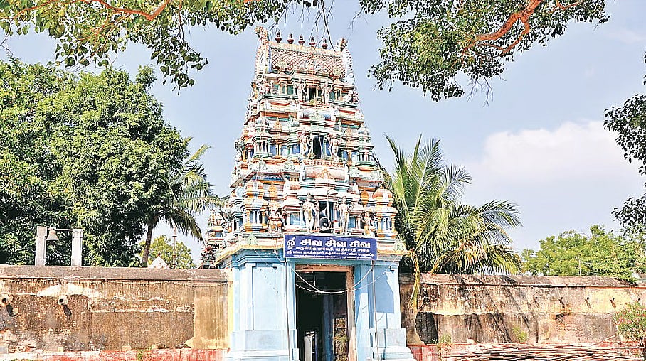 சிவகங்கை மாவட்டம் பரியா மருதுப்பட்டி பறியா மருதீஸ்வரர்: நோய் தீர்க்கும் ஈசனின் சந்நிதி!