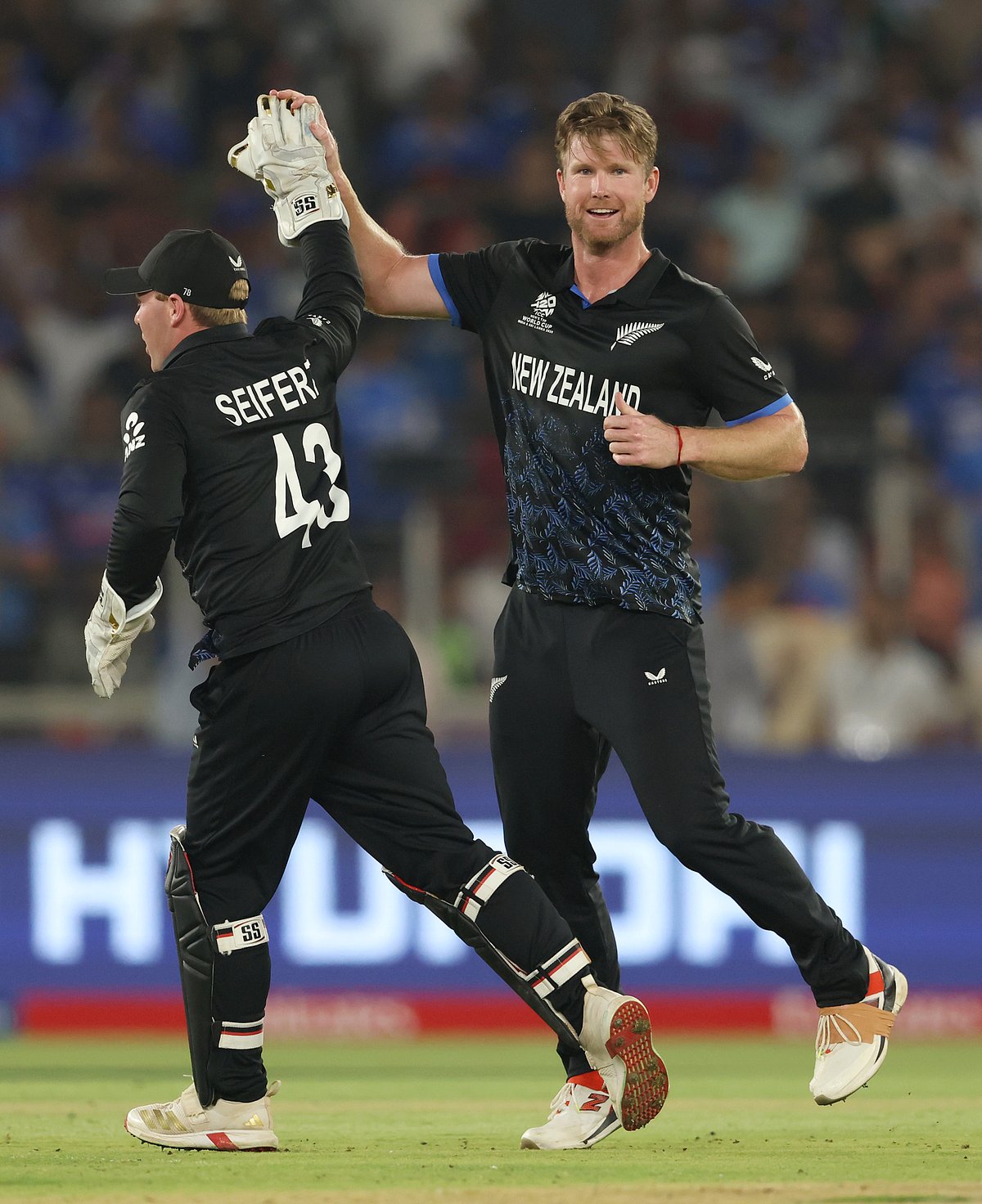 நியூசிலாந்து