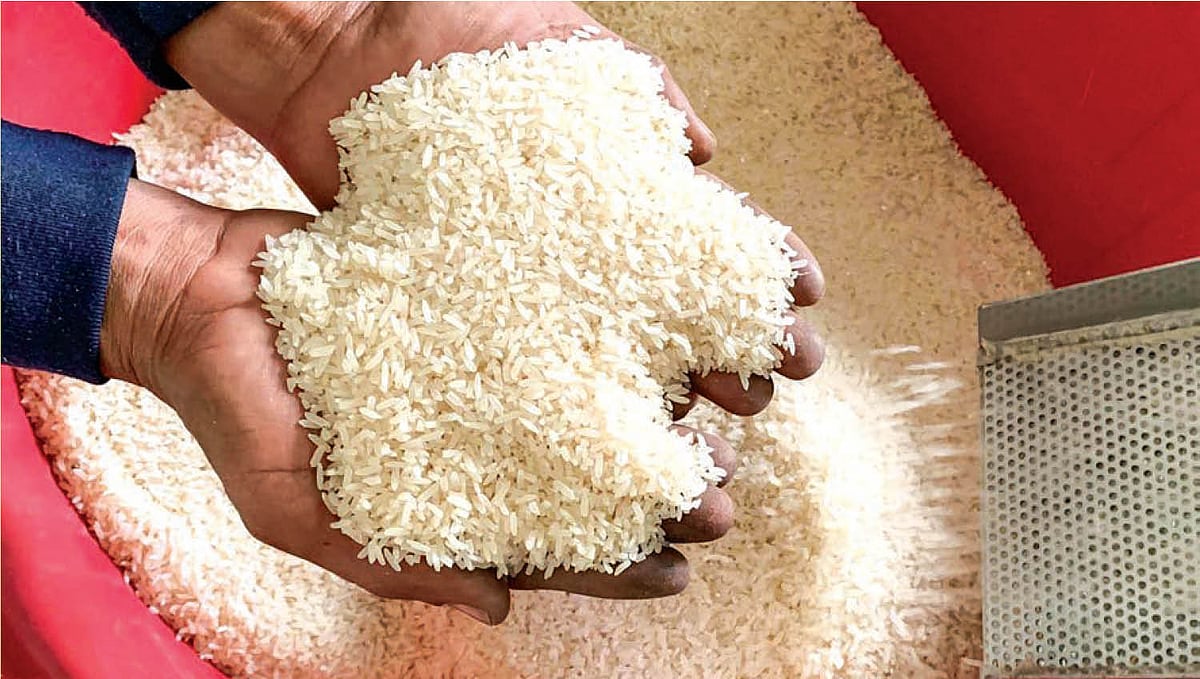 அரிசி