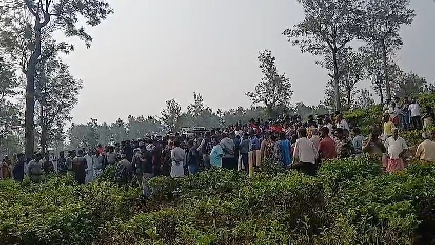 யானை---மனித-எதிர்கொள்ளல்:-வீட்டுக்கு-சென்ற-வழியில்-சிக்கிய-நண்பர்கள்---இருவரும்-உயிரிழந்த-சோகம்