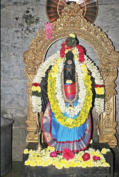 ஒத்தக்கால் மண்டபம் புற்றிடங்கொண்டீஸ்வரர் கோயில் பூங்கோதை நாயகி 