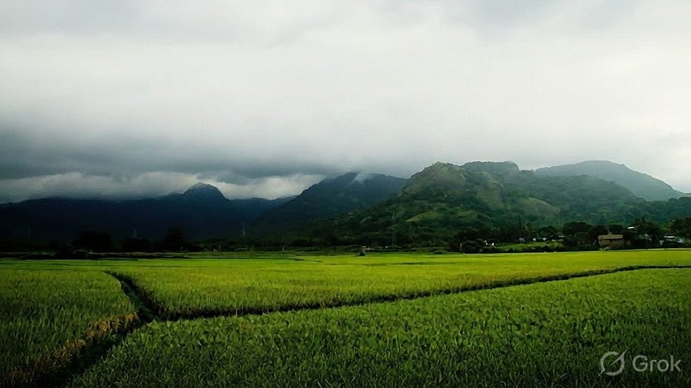 மேற்கு தொடர்ச்சி மலை
