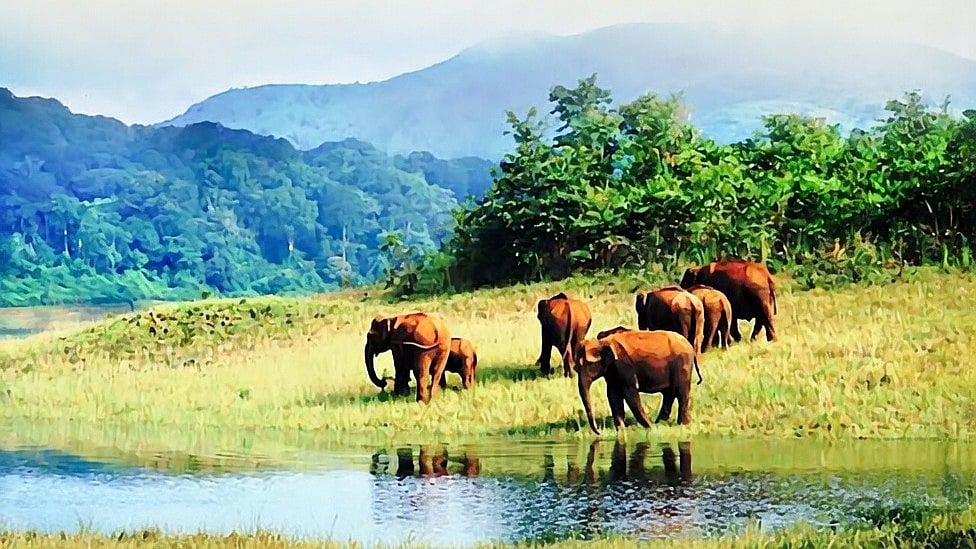 மேற்கு தொடர்ச்சி மலை