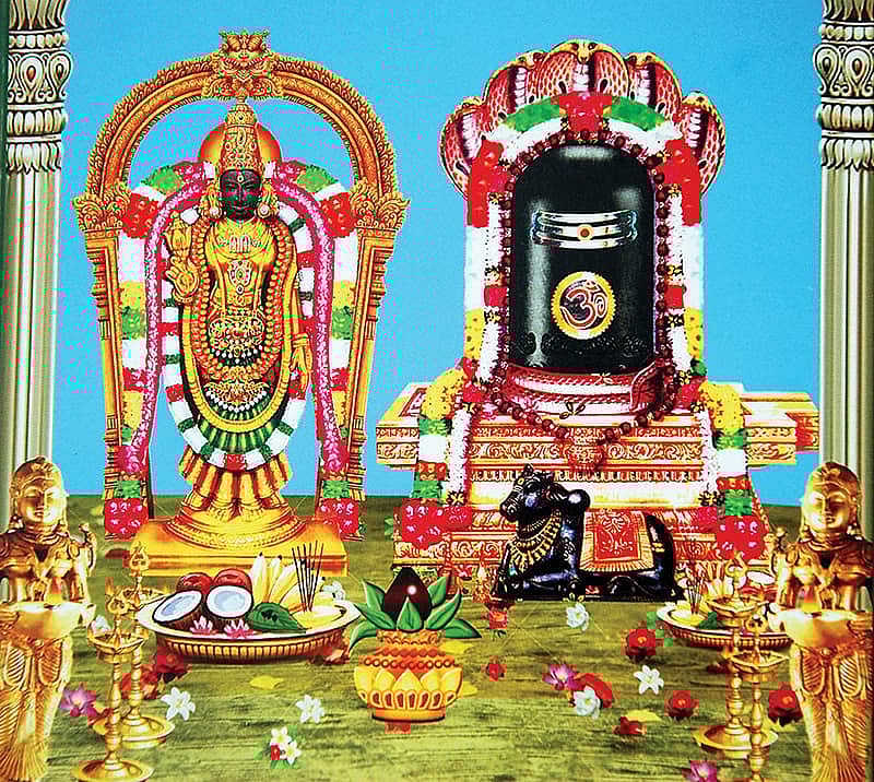 பூதப்பாண்டி கிராமம் பூதலிங்க சுவாமி 