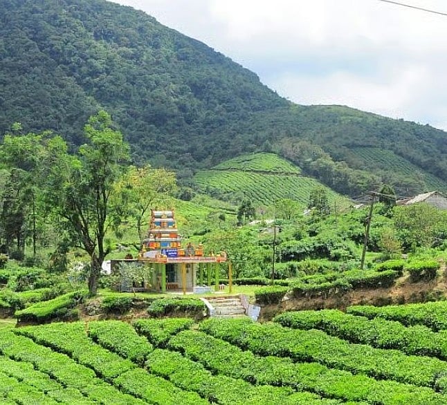 தேனி, மேகமலை வழிவிடும் முருகன், காவல் காக்கும் கௌமாரி அம்மன்! - சுற்றுலாவுடன் ஒரு தரிசனம்!