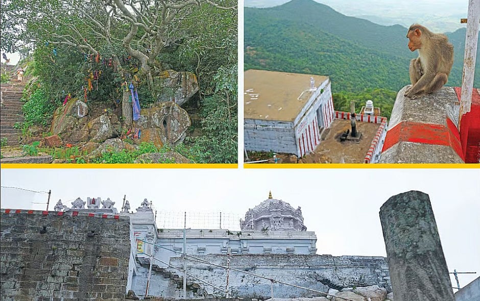 தலைமலை சஞ்ஜீவிராயப் பெருமாள் கோயில்