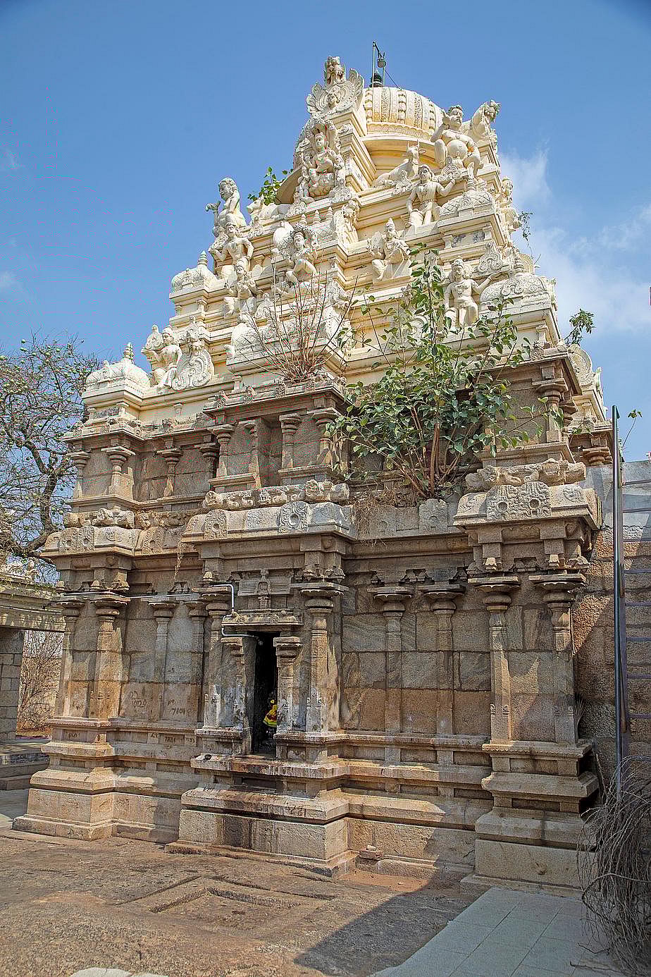 ராட்சாண்டார் திருமலை விரையாச்சிலைநாதர் கோயில்