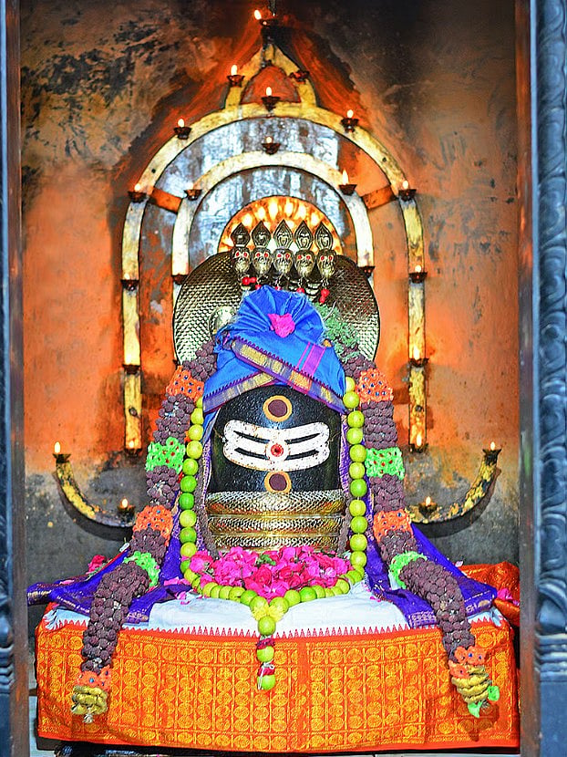 மேல்கோட்டையூர் ஸ்ரீமேகநாதசுவாமி