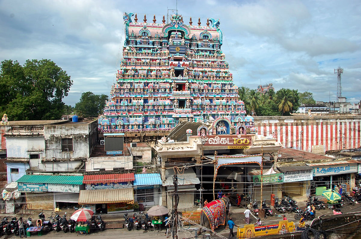 திருநெல்வேலி: அகத்தியர் அருவி, மாஞ்சோலை, மணிமுத்தாறு - பார்க்க வேண்டிய சுற்றுலாத் தலங்கள்.!
