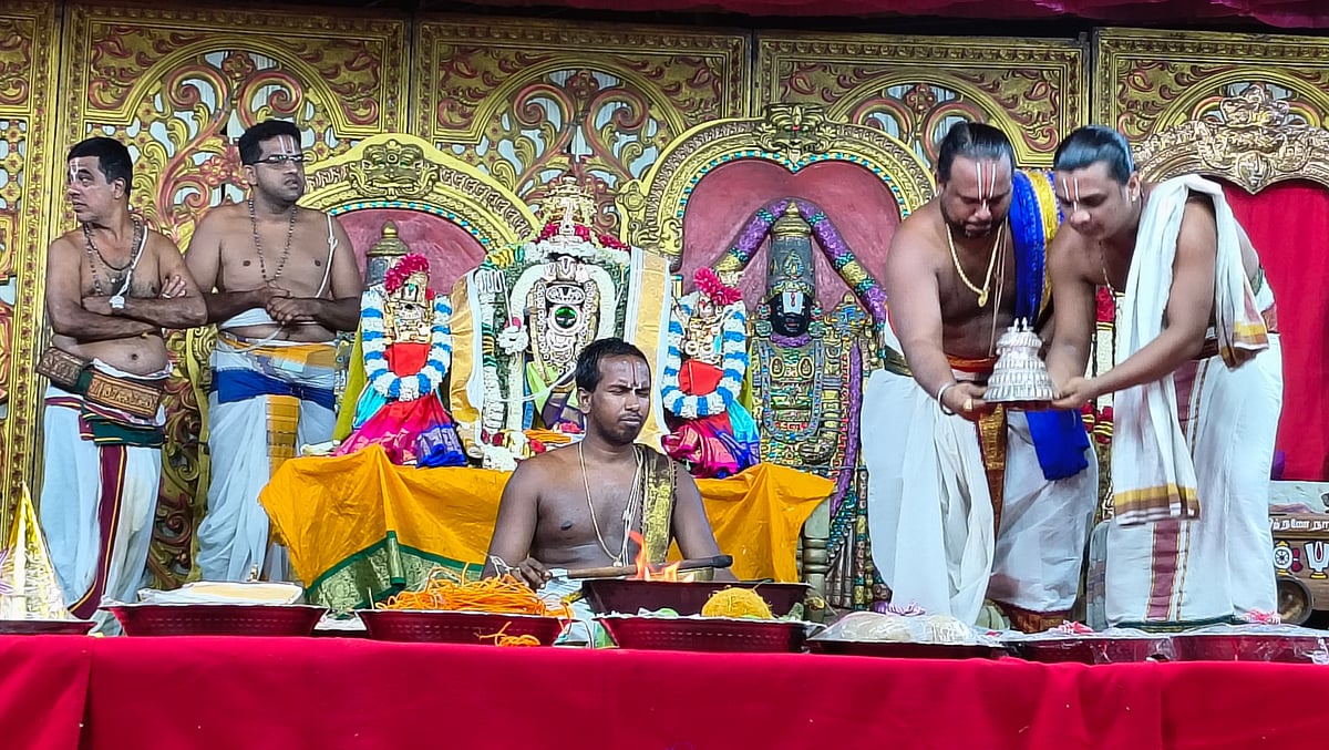திருநெல்வேலி: பாளையங்கோட்டை ஸ்ரீ இராஜகோபால சுவாமி திருக்கோயில் ஶ்ரீனிவாச திருக்கல்யாணம் வைபவம் விழா!