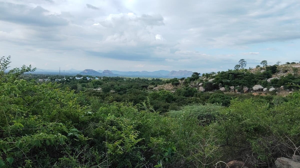 வசிக்கும் வனப்பகுதி