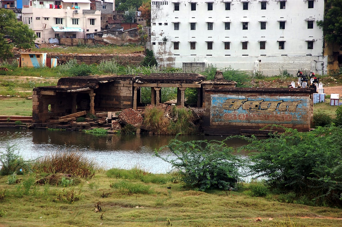 திருநெல்வேலி: ஆட்சியர் அலுவலகம் அருகே தாமிரபரணி ஆற்றங்கரையை ஆக்கிரமித்துள்ள சீமை கருவேல மரங்கள்.!