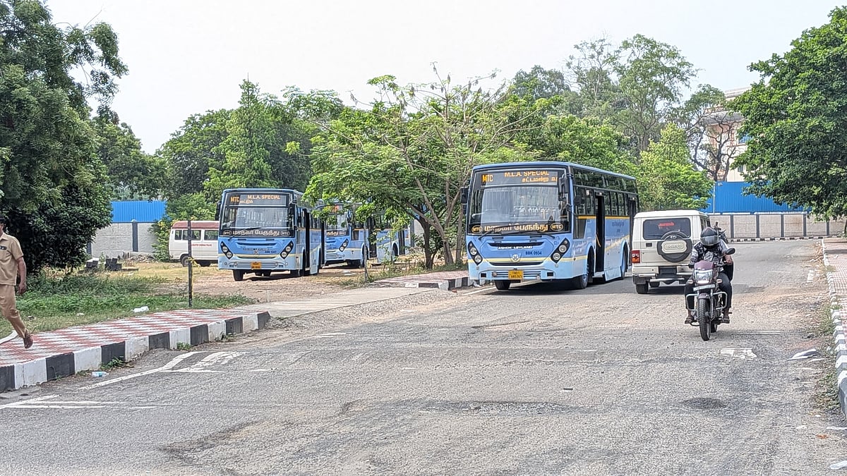 MLA Special Busses