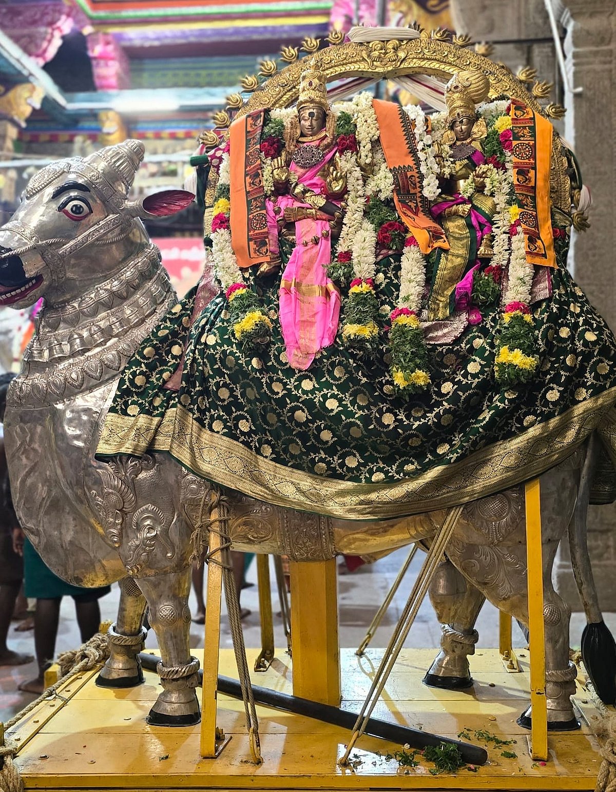 மதுரை: மீனாட்சி - சுந்தரேசுவரர் ஆனி ஊஞ்சல் உற்சவம்; ரிஷப வாகனத்தில் அருள்பாலிப்பு | Photo Album
